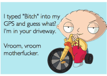 Bitch.png