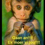Gaan an.jpg