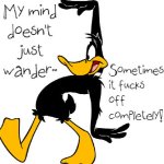 My mind.jpg