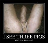 3pigs.jpg