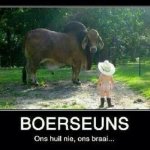 Boere suen.jpg