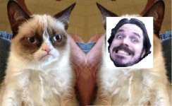 angrycatvsjames.jpg