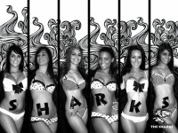 sharks-girls.jpg