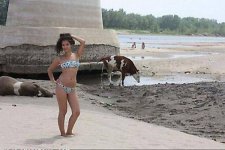 the-odd-things-at-the-beach-12.jpg