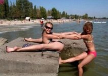 the-odd-things-at-the-beach-1.jpg