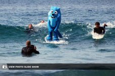 the-odd-things-at-the-beach-16.jpg