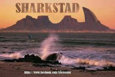 SHARK TOWN.jpg