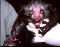 scared-20eyes-small.jpg