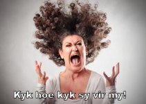 kykhoekyk.jpg