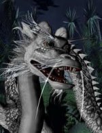 imagesdragon2.jpg