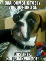 Brakpan.jpg