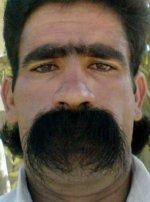 Bad-Eyebrows-Stache.jpg