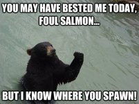 you-may-have-bested-me-today-foul-salmon-bear.jpg