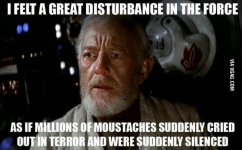Movember.jpg