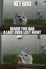 funny-captions-21.jpg