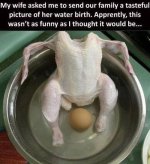 nailed-it-20.jpg