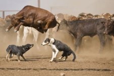 photos-timed-perfectly-17.jpg