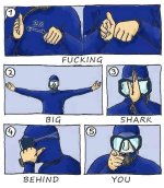 fucking-big-shark-behind-you.jpg