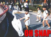 ohsnap-33108.jpg