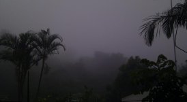 Rainy.jpg
