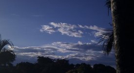 No Rain 1.jpg