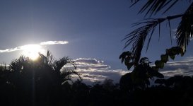 No Rain 2.jpg