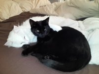 20130908_120739.jpg