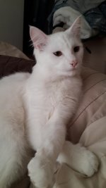 20130602_120828.jpg