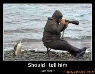 FunnyPart-com-should_i.jpg