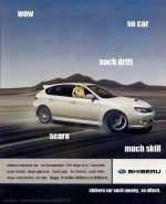 Shibaru_91ddb3_4873674.jpg