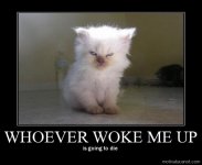resize (7).jpg