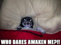 funny-captions-16.jpg