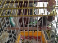 IMG_0625.jpg