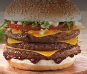 Mighty King Steer.jpg Mighty King Steer.jpg