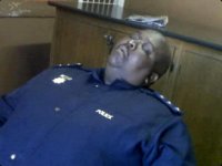 Sleeping-Policeman.jpg