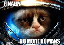 Grumpy-cat-in-space.jpg