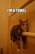 imatowel.jpg