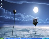 desktop.jpg