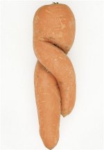 carrot6_2746262e.jpg