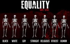 skeletons_equality_deception.jpg
