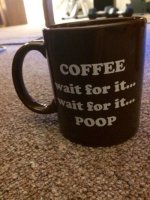 everything-is-true-27.jpg