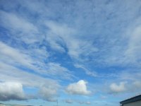 20140307_082046.jpg