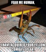 captions-funny-31.jpg