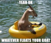 Goat2.jpeg