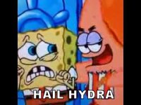 spongebob.jpg