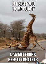 a.baa-Funny-Giraffe-Meme.jpg