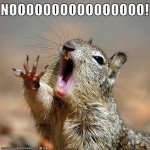 squirl.jpg