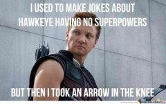 but-then-i-took-an-arrow-to-the-knee_o_345361.jpg