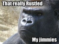 Jimmies.jpg Jimmies.jpg