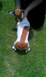 markings-30.jpg